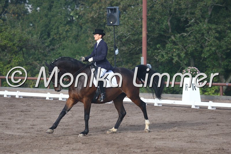 009M1384_Rio_Dressur M.JPG